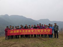 提升技能水平 助力乡村振兴