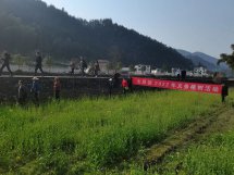 义务植树我先行 乡村振兴促生